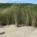 2014 Ile de Noirmoutiers Sylt (370)